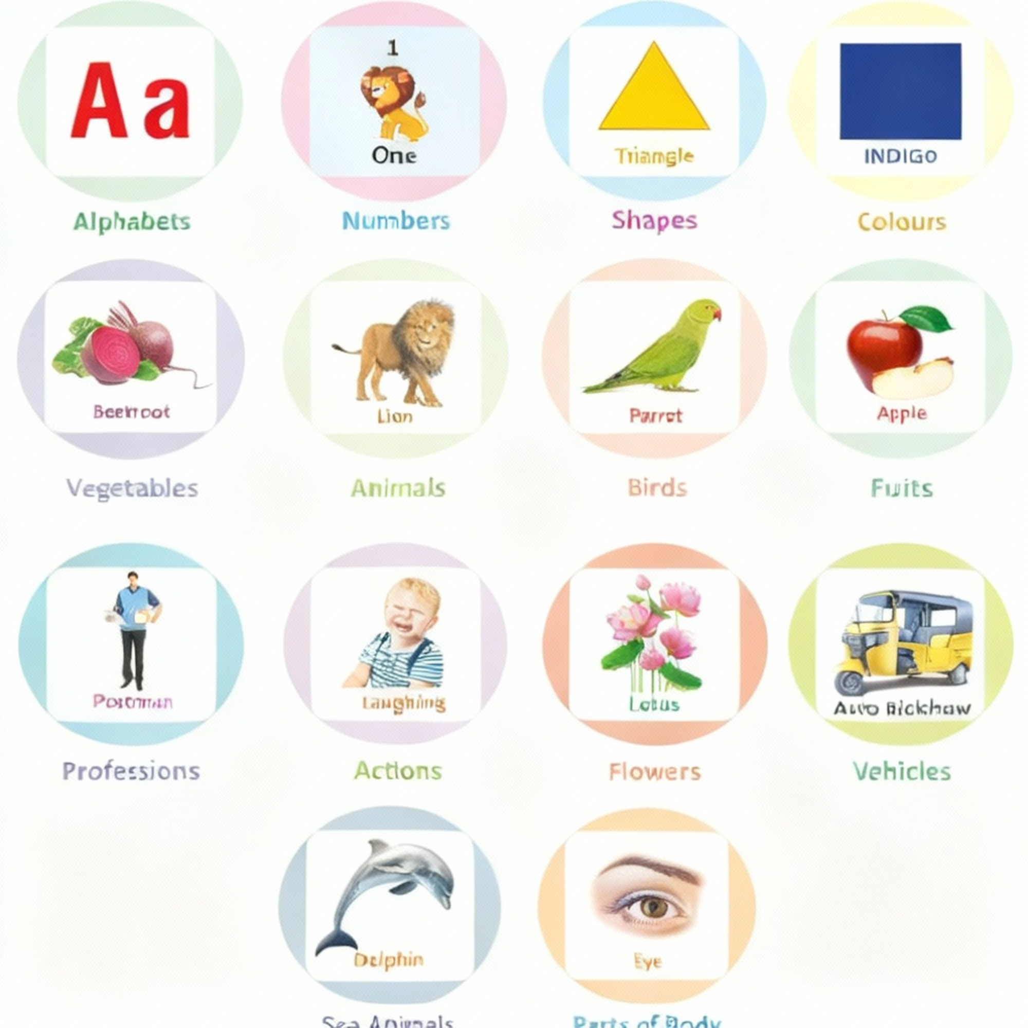 Learning And Talking Flash Card for Kids – Interactive Learning Toy